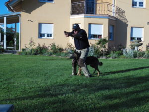 K-9 TRAINING