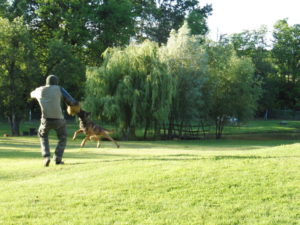 K-9 TRAINING