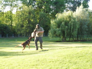 K-9 TRAINING